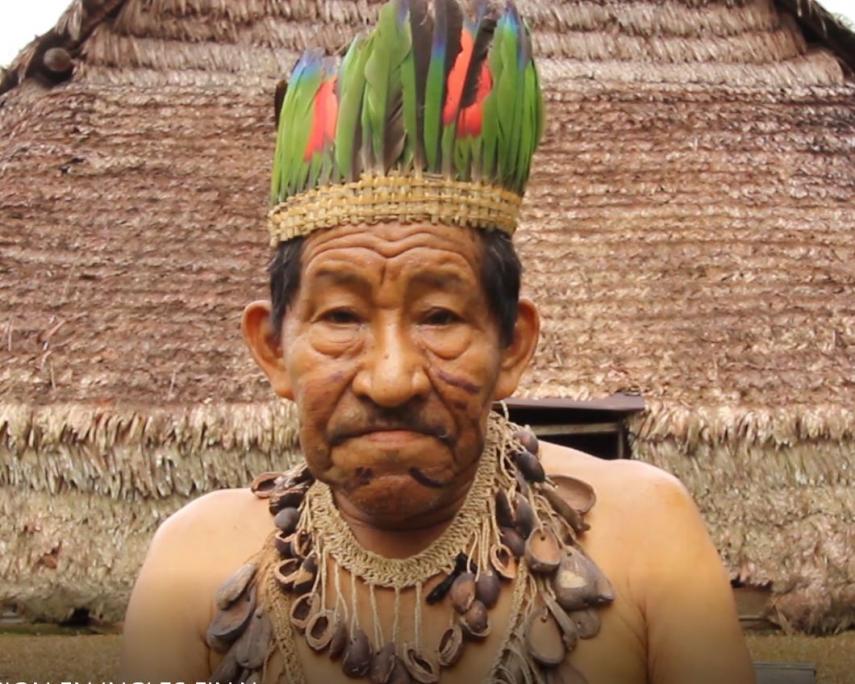 El Pueblo Indígena Amazónico Nɨpodɨmakɨ Uitoto Insta A Los Gobiernos Y A Los Pueblos De Todo 7284